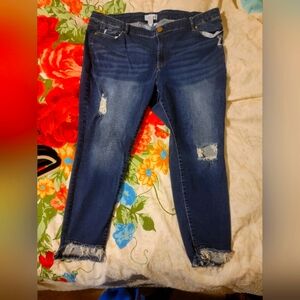 Lane Bryant Jeans